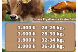 YEREL GERÇEK DERGİSİ'NİN 71. SAYISI YAYINLANDI