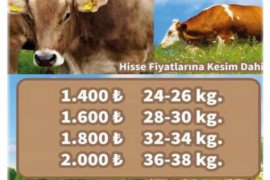 YEREL GERÇEK DERGİSİ 72.SAYI