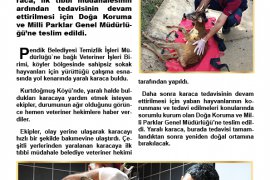 Yerel Gerçek Dergisi'nin 74. sayısı yayınlandı