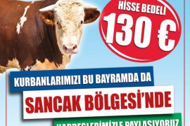 Yerel Gerçek Dergisi'nin 74. sayısı yayınlandı