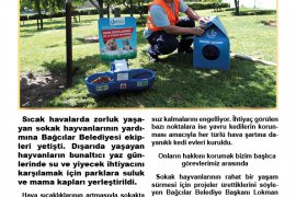 Yerel Gerçek Dergisi'nin 74. sayısı yayınlandı