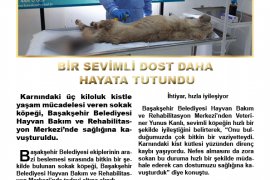 Yerel Gerçek Dergisi'nin 74. sayısı yayınlandı