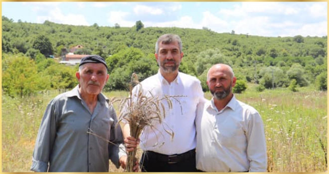 ŞİLE'DE HASAT VAKTİ