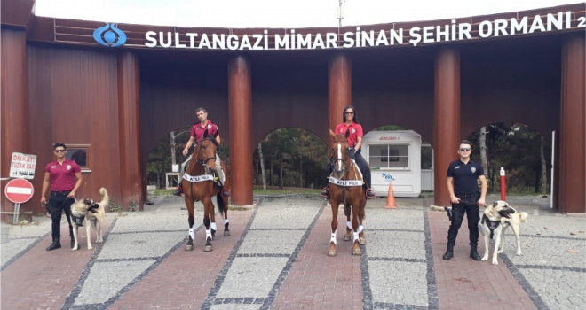 Polis Atlı Birlikleri Sultangazi Şehir Ormanları'nda