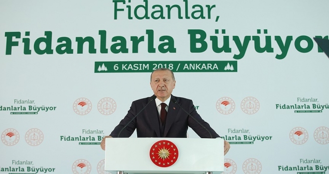 Cumhurbaşkanı Erdoğan: Tabiata bakış açımızı düzeltmezsek dünya yaşanılır olmaz