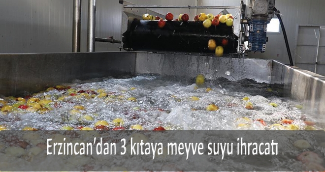 Erzincan'dan 3 kıtaya meyve suyu ihracatı