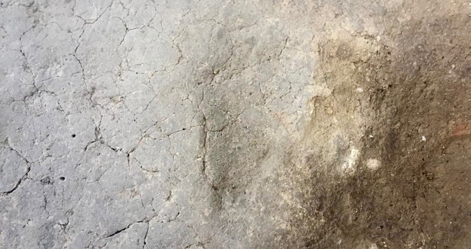 Aktopraklıkta 7 bin 500 yıllık ayak izleri bulundu