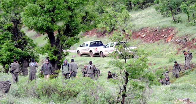 PKK'nın hamile kadını infazı, terörist ifadesinde