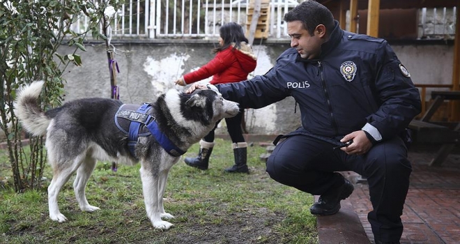 Sokak hayvanlarına sahip çıkan karakol 