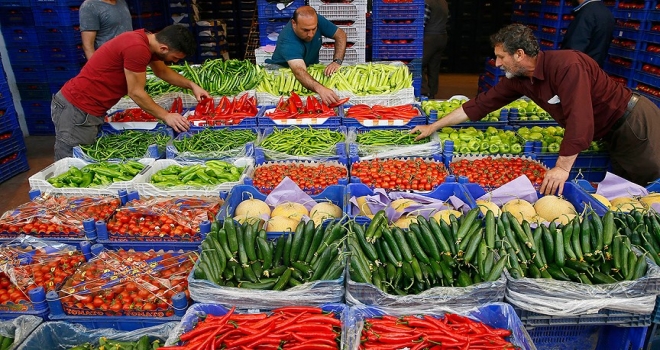 Egeli yaş meyve sebze ihracatçılarının milyar dolar hedefi