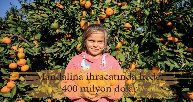 Mandalina ihracatında hedef 400 milyon dolar