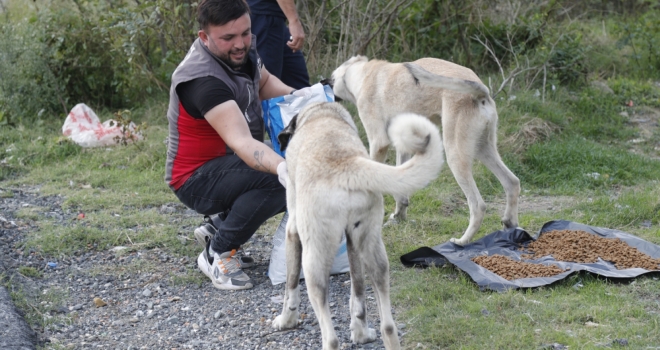 SOKAK HAYVANLARI İÇİN HER GÜN MAMA DESTEĞİ