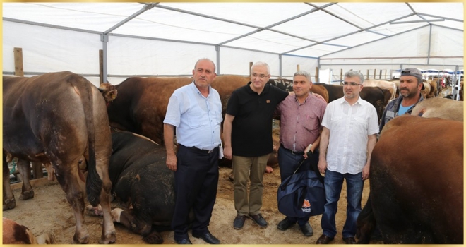 Kurban Satış ve Kesim Merkezi’nde, kurban satışları hızla devam ediyor