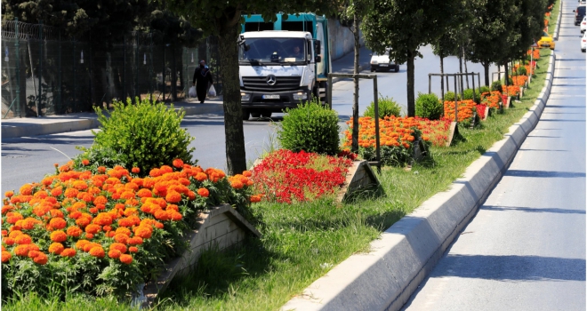 Park ve Yeşil Alanlara Bakım