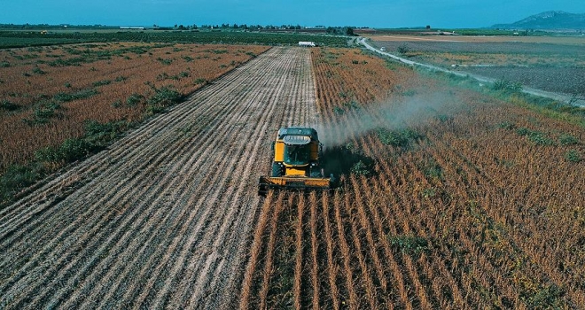 Çiftçiye 490 milyon liralık destek ödemesi