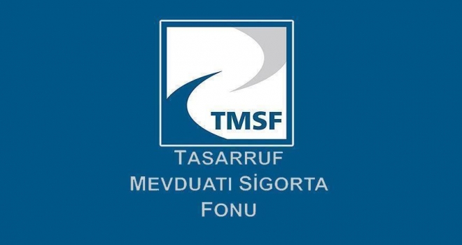 TMSF'ye geçen 'sorunlu şirketler' satılacak