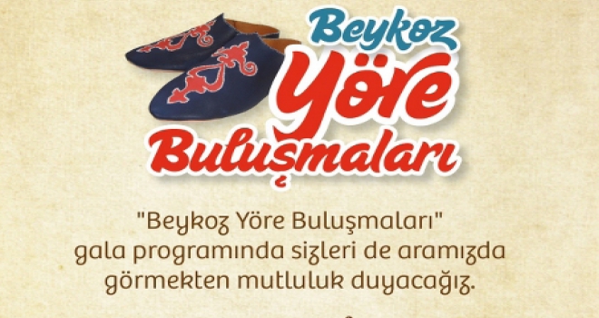 YÖRE BULUŞMALARI BAŞLIYOR