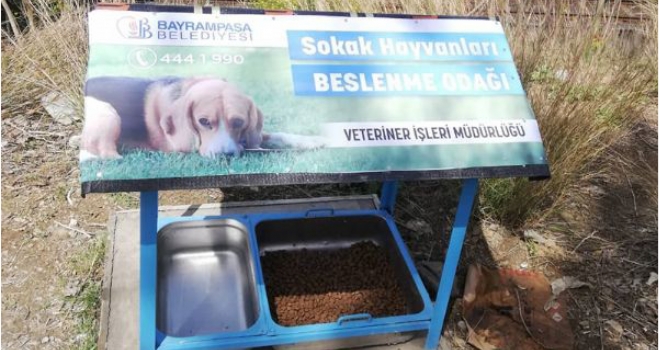 BAYRAMPAŞA’DA SOKAK HAYVANLARI İÇİN BESLENME NOKTALARI