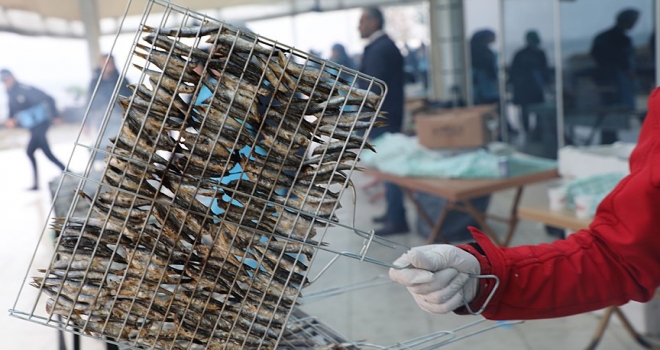 2 Günde ayıklanan 1,5 ton hamsi 2 saatte tüketildi