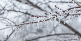 Meteorolojiden buzlanma ve don uyarısı