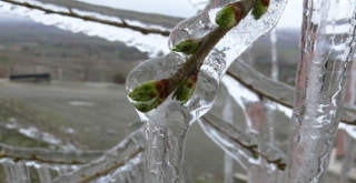 Meteorolojiden 5 il için buzlanma ve don uyarısı