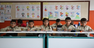 Beşi bir yerde büyüyorlar