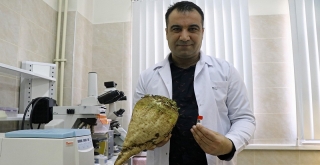 'Bakteriler çalışacak Türk tarımı kazanacak'