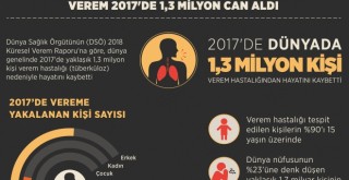 Verem 2017'de 1,3 milyon can aldı