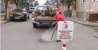 DÖRT MEVSİM MÜCADELE