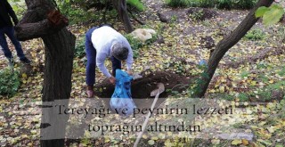 Tereyağı ve peynirin lezzeti toprağın altından