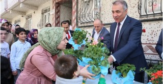 Sultangazi Yeşilleniyor